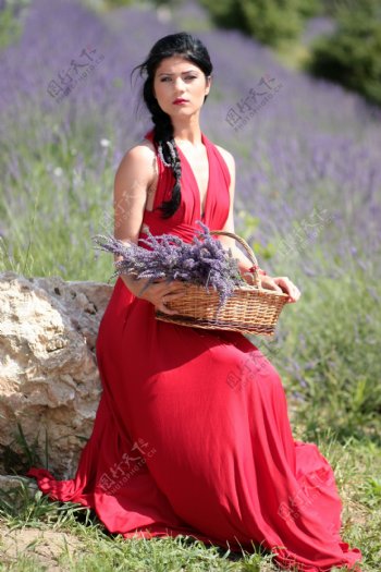 红裙气质型美女图片