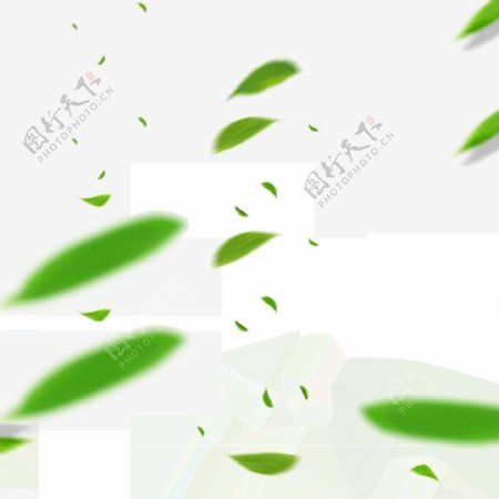 漂浮的绿叶