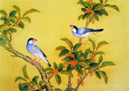 花鸟画中国古画传统国画16