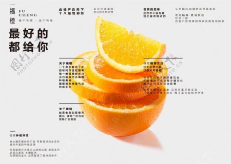 橙子宣传单