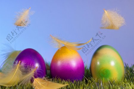 复活节彩蛋与羽毛图片