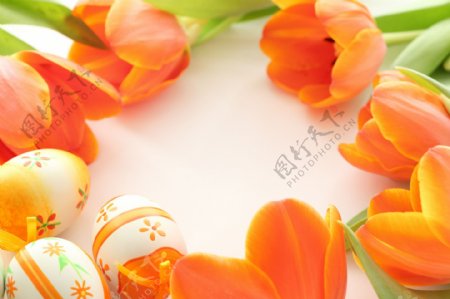 郁金香鲜花与彩蛋