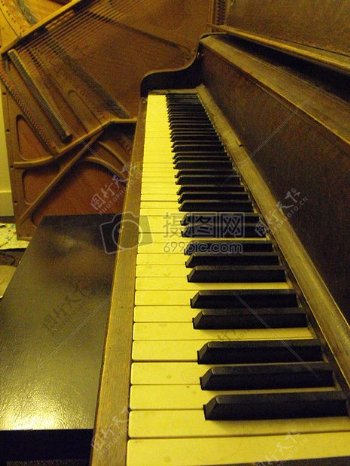 钢琴keys.JPG