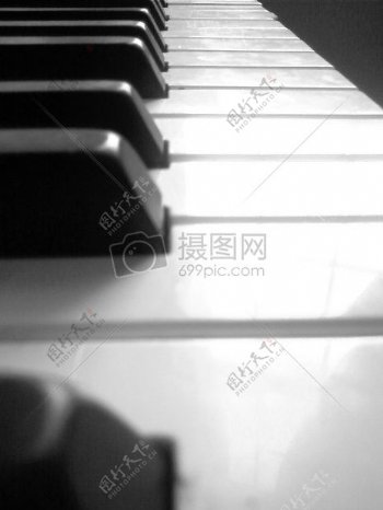 钢琴键2.JPG