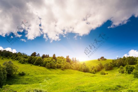 高原草坪风景