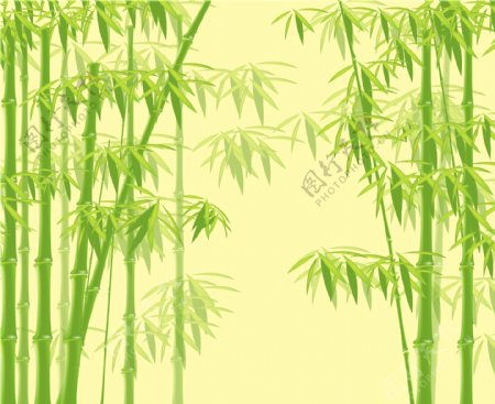 个性高精竹