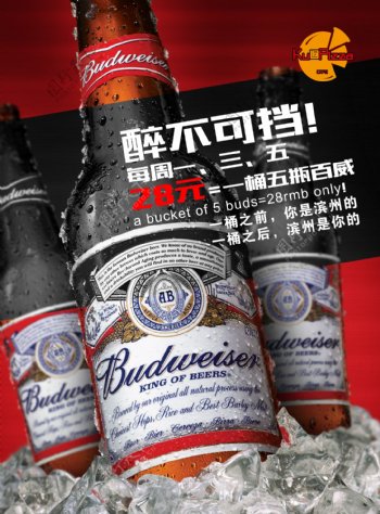 百威啤酒海报