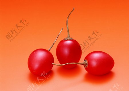 水果西红柿圣女果