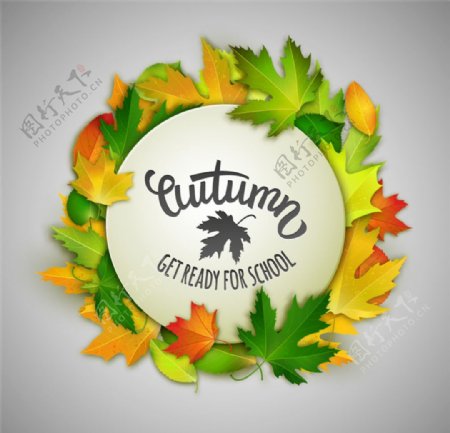 秋季树叶装饰圆形标签矢量图