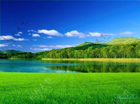 美丽的绿色山水风景图片