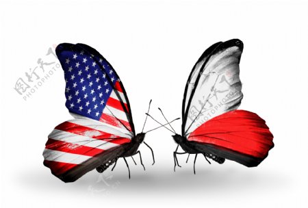 蝴蝶与国旗图片