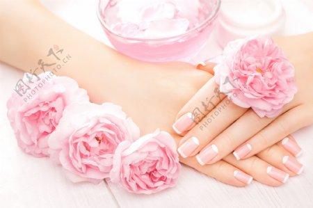 粉色花朵手部护理图片