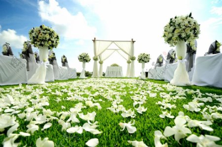 美丽鲜花草坪婚礼图片