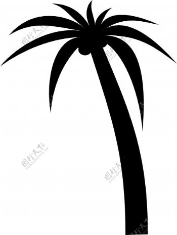 棕榈树的剪辑艺术
