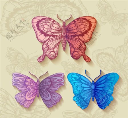 复古色彩手绘蝴蝶