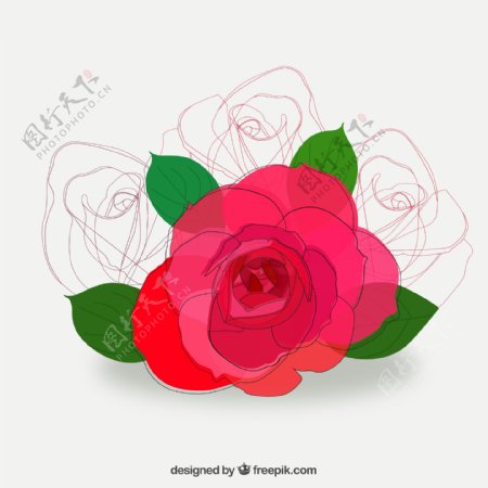 彩绘红色玫瑰花矢量素材