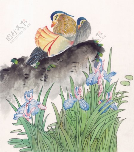 中国画花鸟画