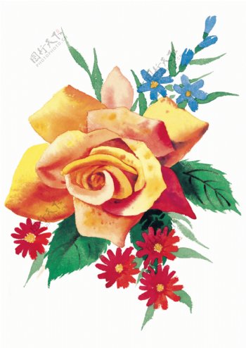 高清晰手绘黄玫瑰素材
