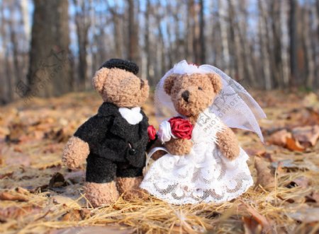 泰迪熊结婚图片