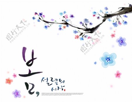 韩国水彩花卉素材源文件