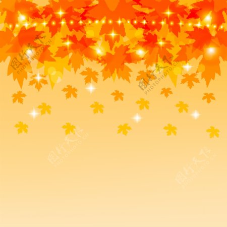 秋季枫叶图片背景
