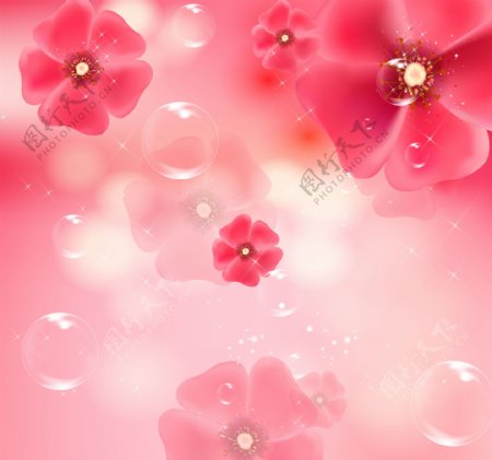粉色花朵320x300