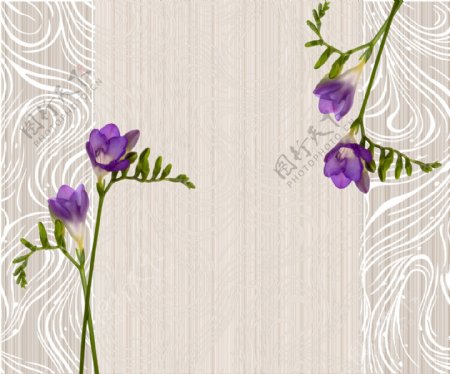 紫色花背景墙
