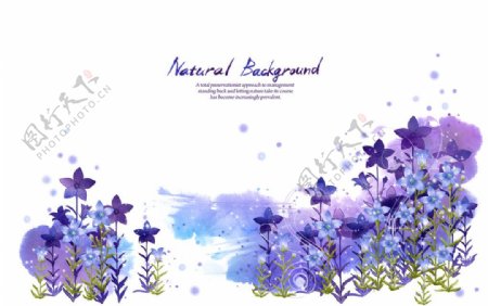 紫色花卉背景源文件