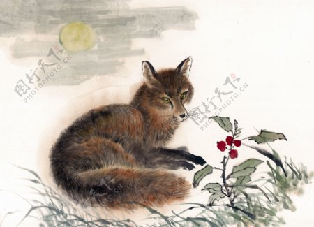 狐狸写意动物画国画0021