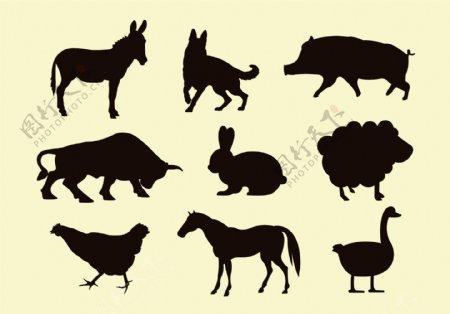 动物设计图