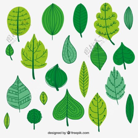 绿色树叶设计矢量图