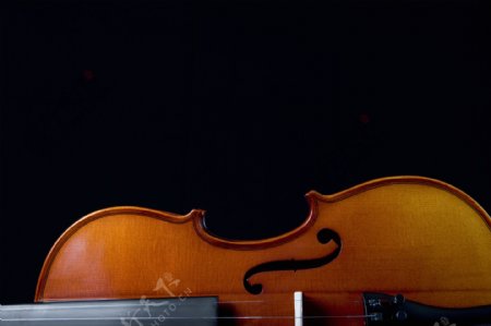 一半大提琴特写图片