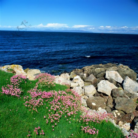 蓝天大海自然景观图片