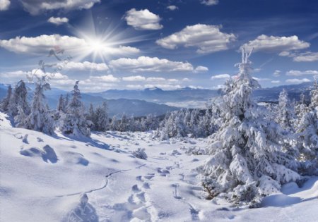 唯美冬天雪景图片