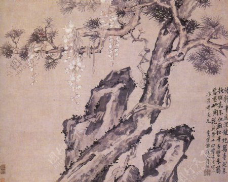0002古树奇石中国画
