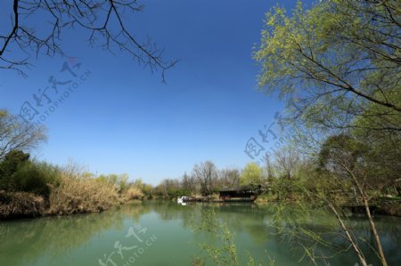 西溪湿地公园图片