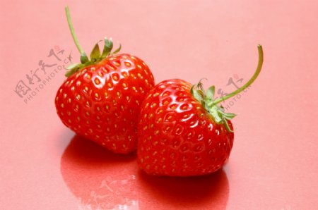 草莓028