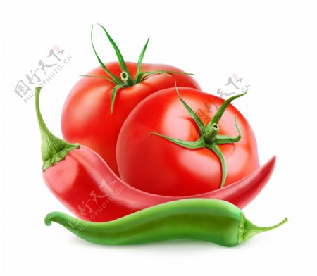 辣椒与西红柿图片