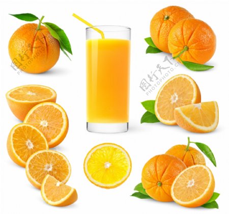 橙子与橙汁图片