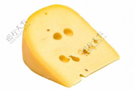 奶酪12图片