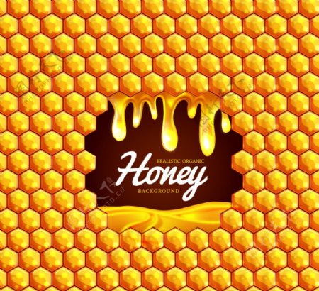 蜂巢背景与蜂蜜