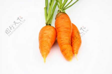 红萝卜高清图片