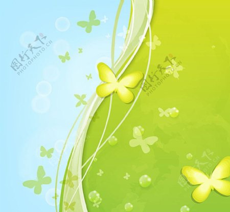 清新绿色蝴蝶背景图片