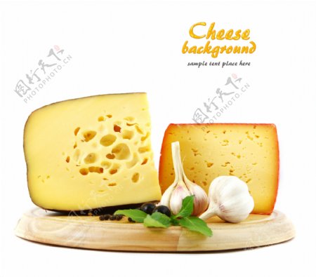 奶酪14图片