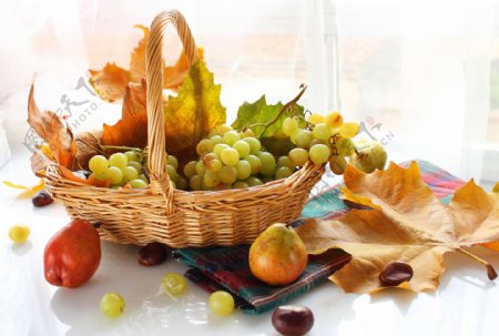 水果篮子里的葡萄图片