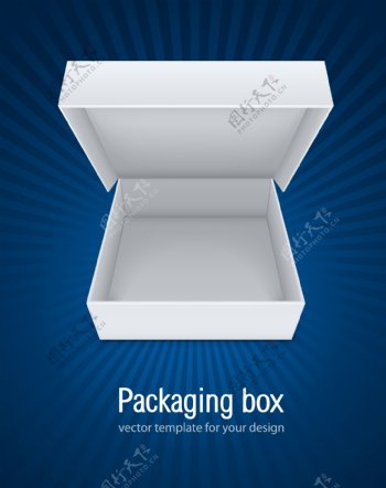 矢量包装盒设计素材