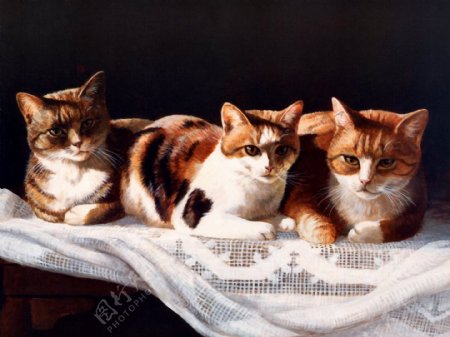 猫咪宠物手绘画19猫