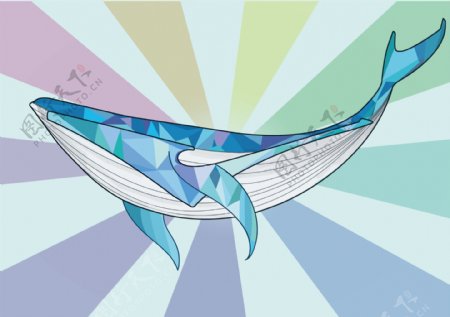 鲸鱼与鸿星尔克psd卡通插画