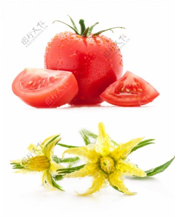 鲜花和西红柿