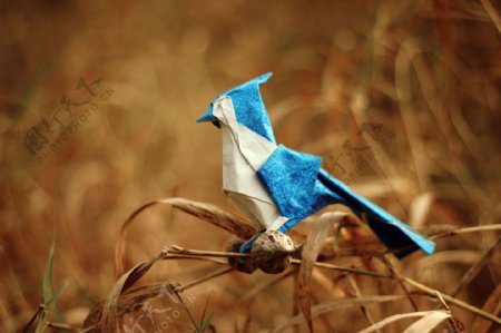 折纸小鸟素材图片